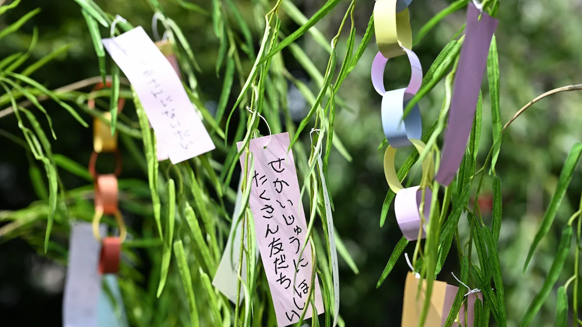 七夕（7月7日）｜保育園での取り入れ方とねらい