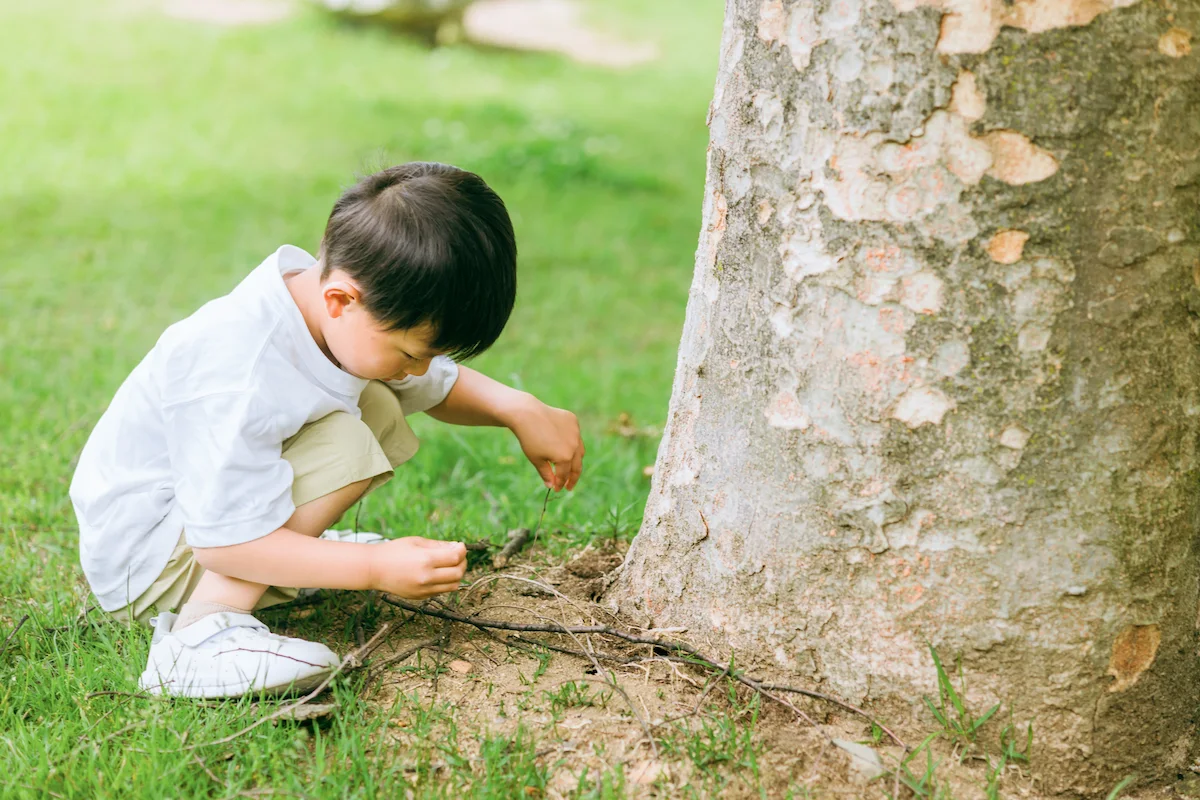 虫取り・夏の自然観察|8月の季節行事のねらい