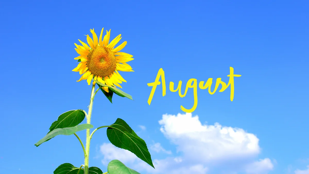 8月のおたよりは何を書く?【真夏の盛りとお盆の時期ならではの考え方】